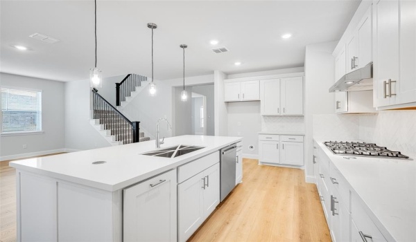 518 Chatham Street, Oak Point, TX 75068, 6 Bedrooms Bedrooms, ,6 BathroomsBathrooms,Residential,For Sale,518 Chatham Street,20749399