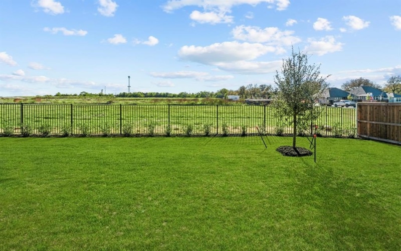 3258 Arbor Grove Trail, Midlothian, TX 76065, 4 Bedrooms Bedrooms, ,3 BathroomsBathrooms,Residential,For Sale,3258 Arbor Grove Trail,20731540